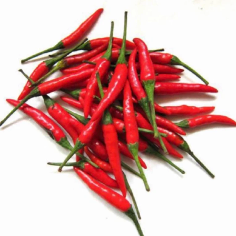 小米椒【辣椒】（50克）