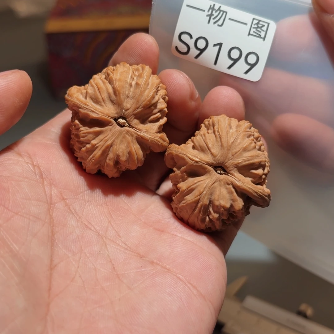 文玩核桃把件白狮子