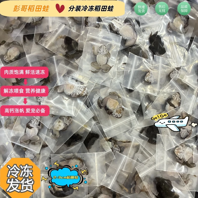 《独立包装》稻田蛙养殖蛙冰冻蛙雷龙鱼饲料爬宠饲料高蛋白补钙神器