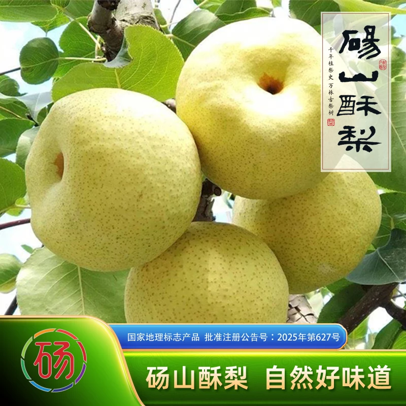 “砀”牌砀山酥梨精品包装水果砀山梨直发精品果