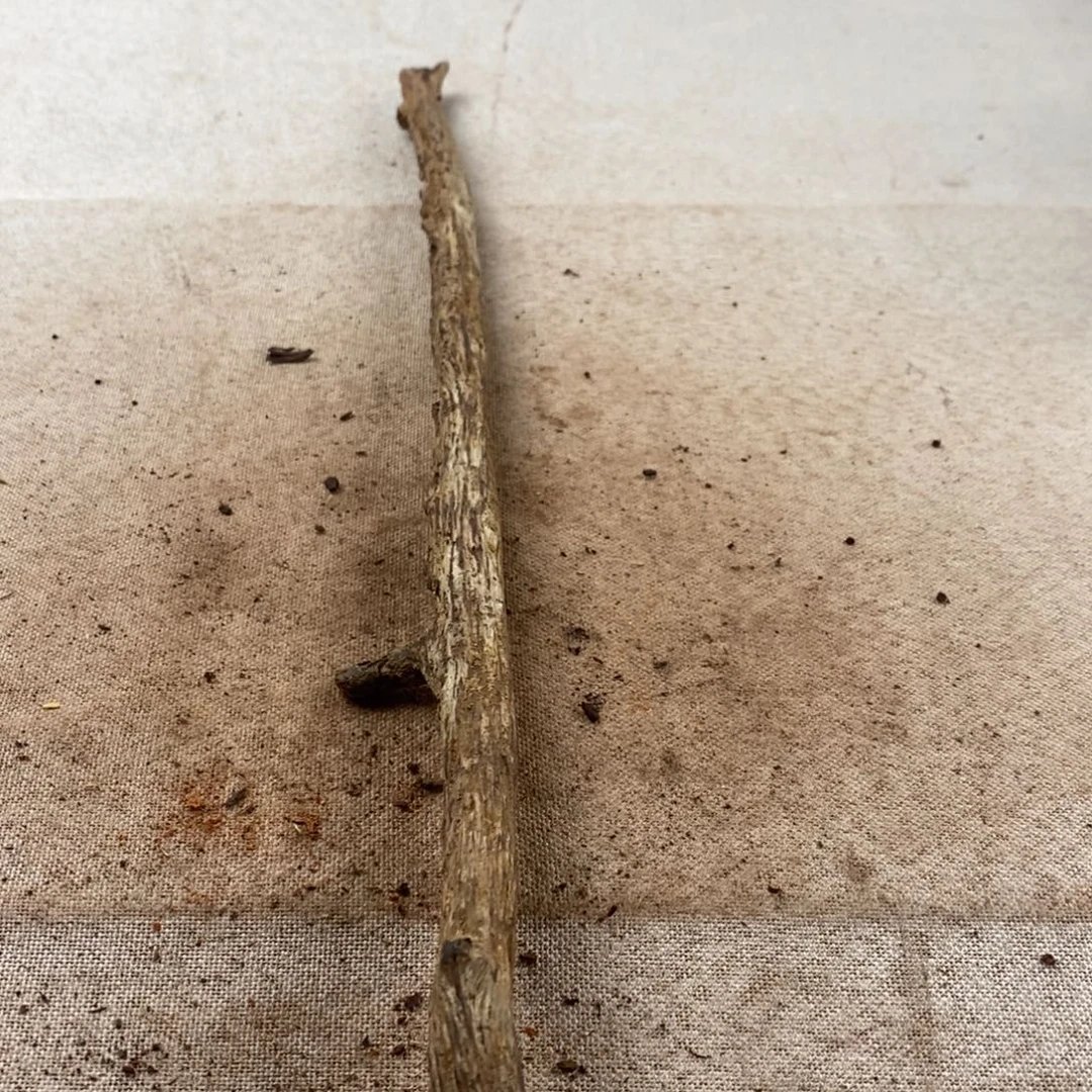 用***9黄花梨/降香黄檀黄花梨随形料子