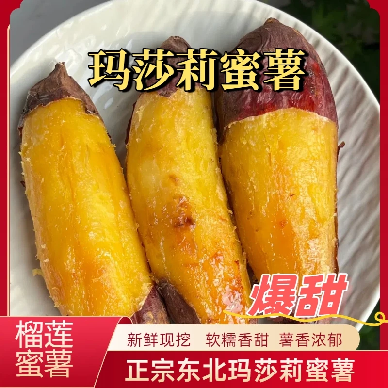 正宗东北玛莎莉蜜薯薯香浓郁甜而不腻（小果）新鲜红薯
