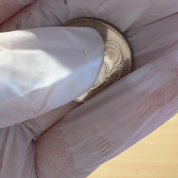 其他普通金属千禧龙币