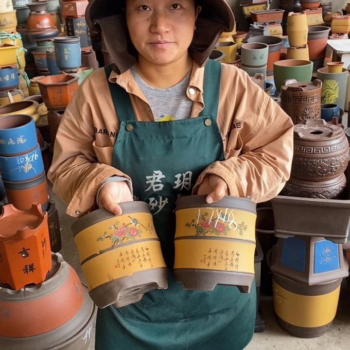 紫砂花盆盆栽花卉苗木种植