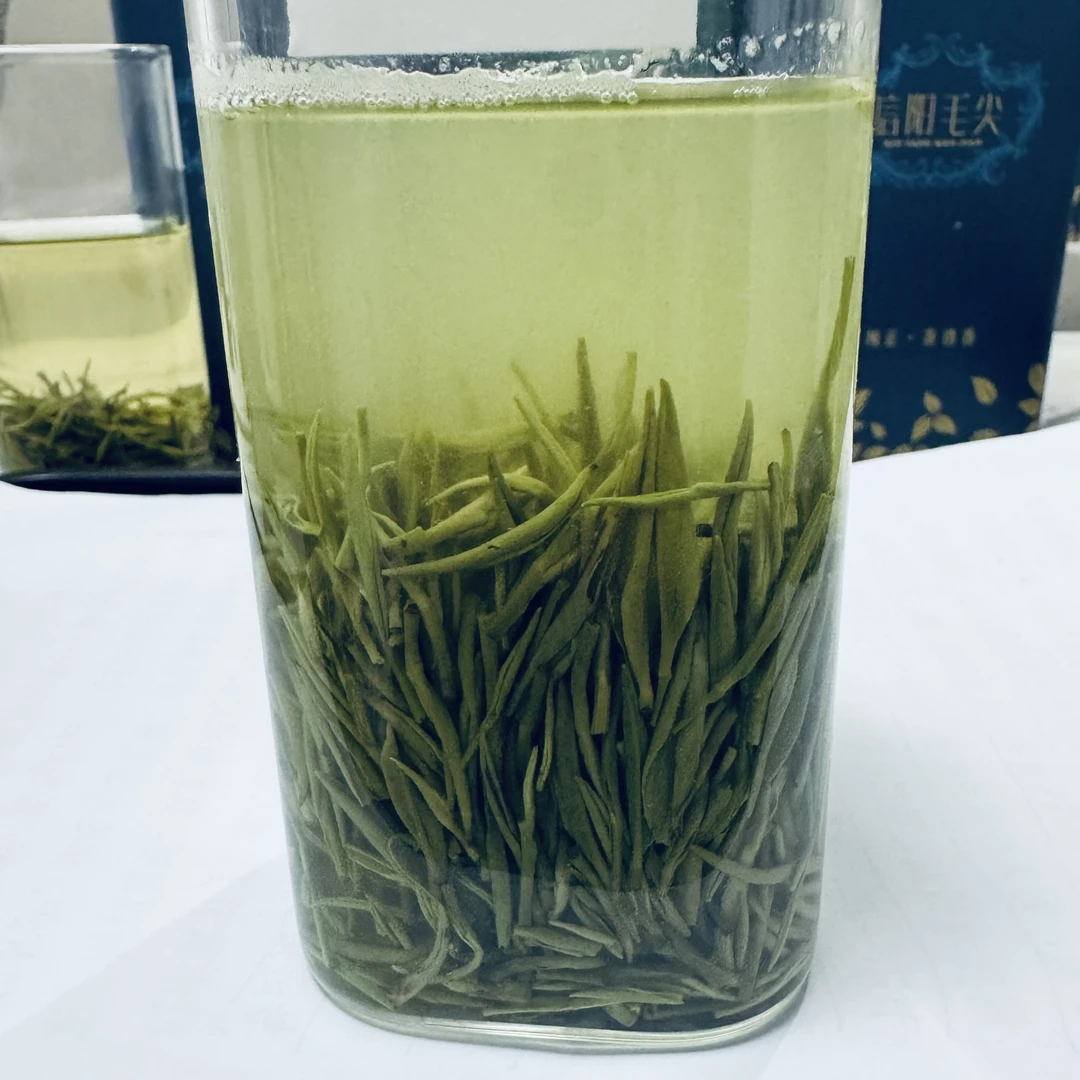信阳绿茶毛尖2025新茶特级嫩芽浓香型春茶叶散装一芽一叶