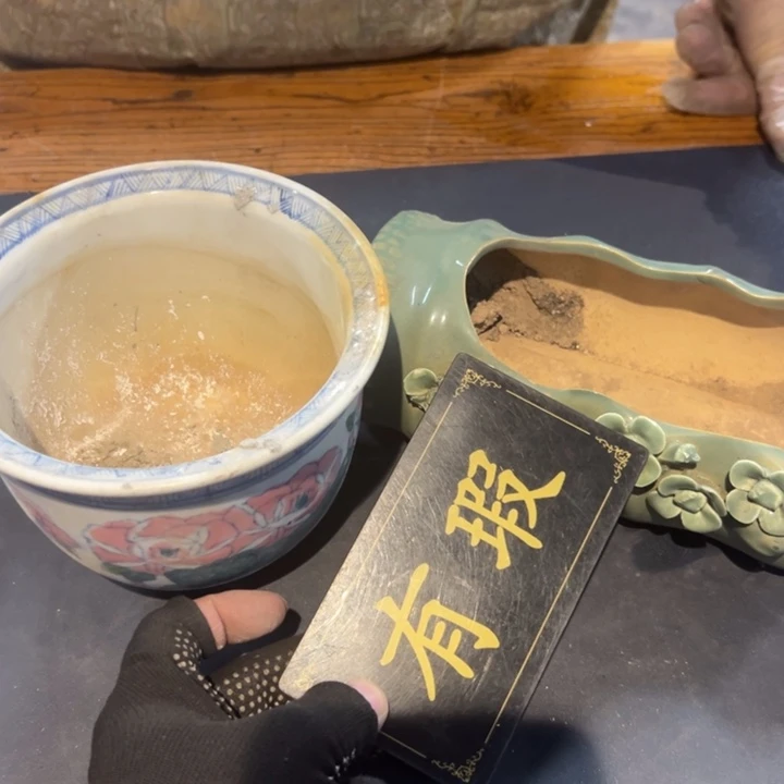 瓷片秋**雨拾六家的瓷器瓷器