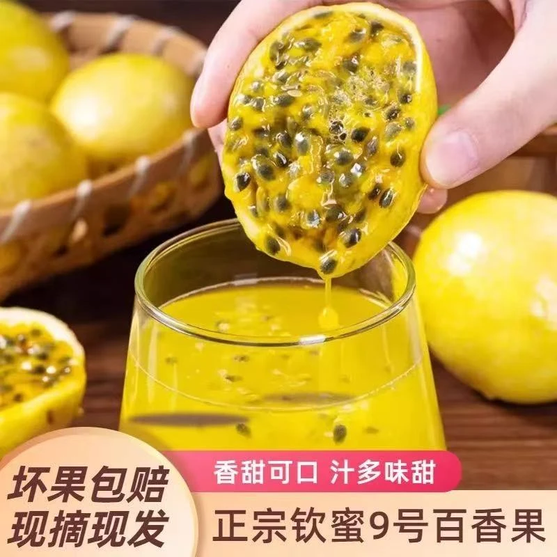 【整箱3斤】云南正宗钦蜜9号黄金百香果大果水果应季甜果园新鲜现摘