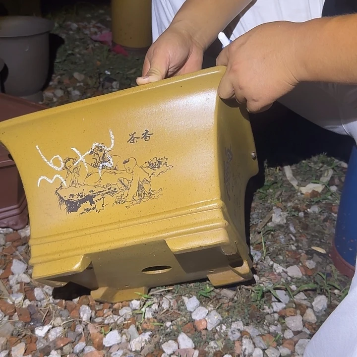 紫砂花盆盆景盆盆景花盆