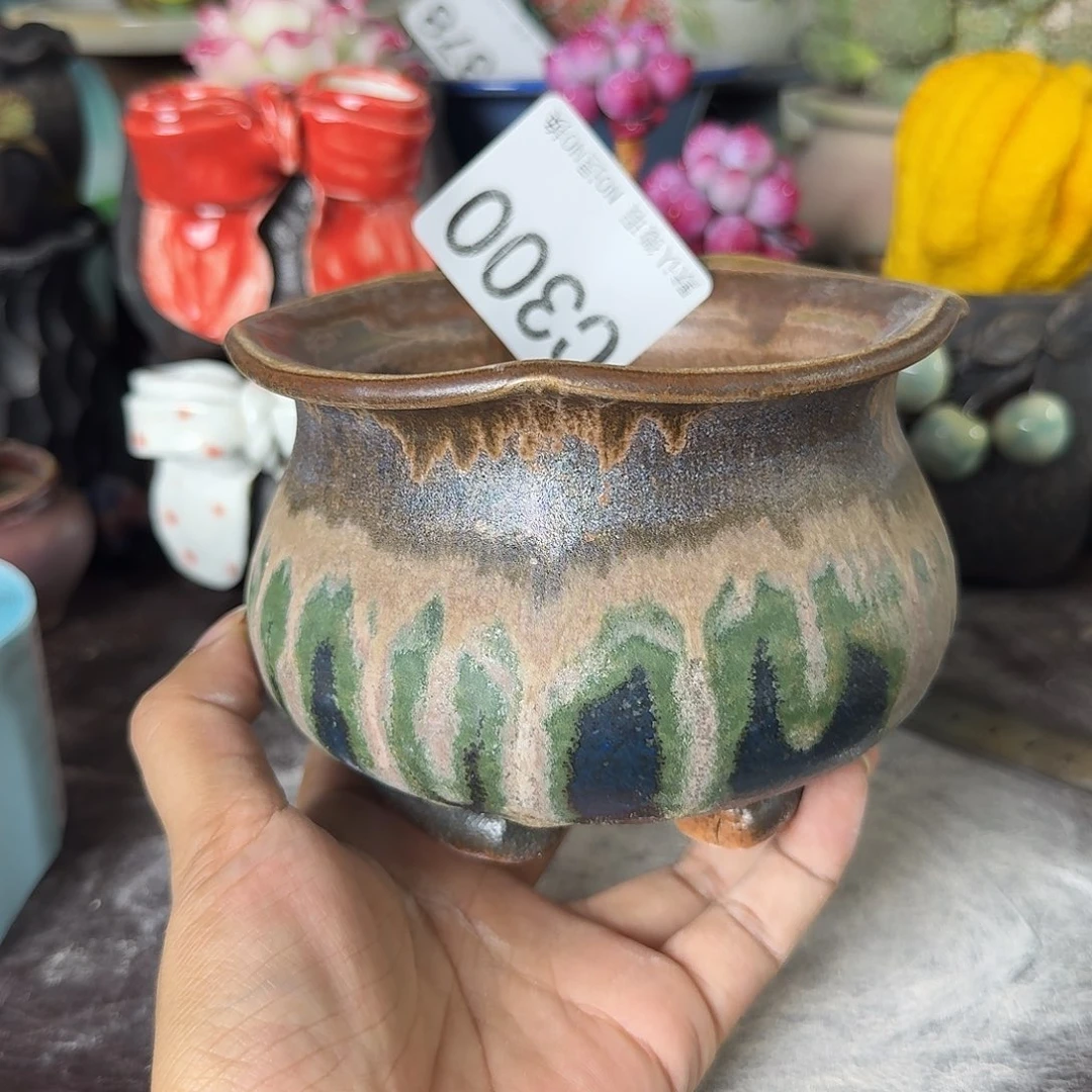 重庆小燕子欢迎大家300