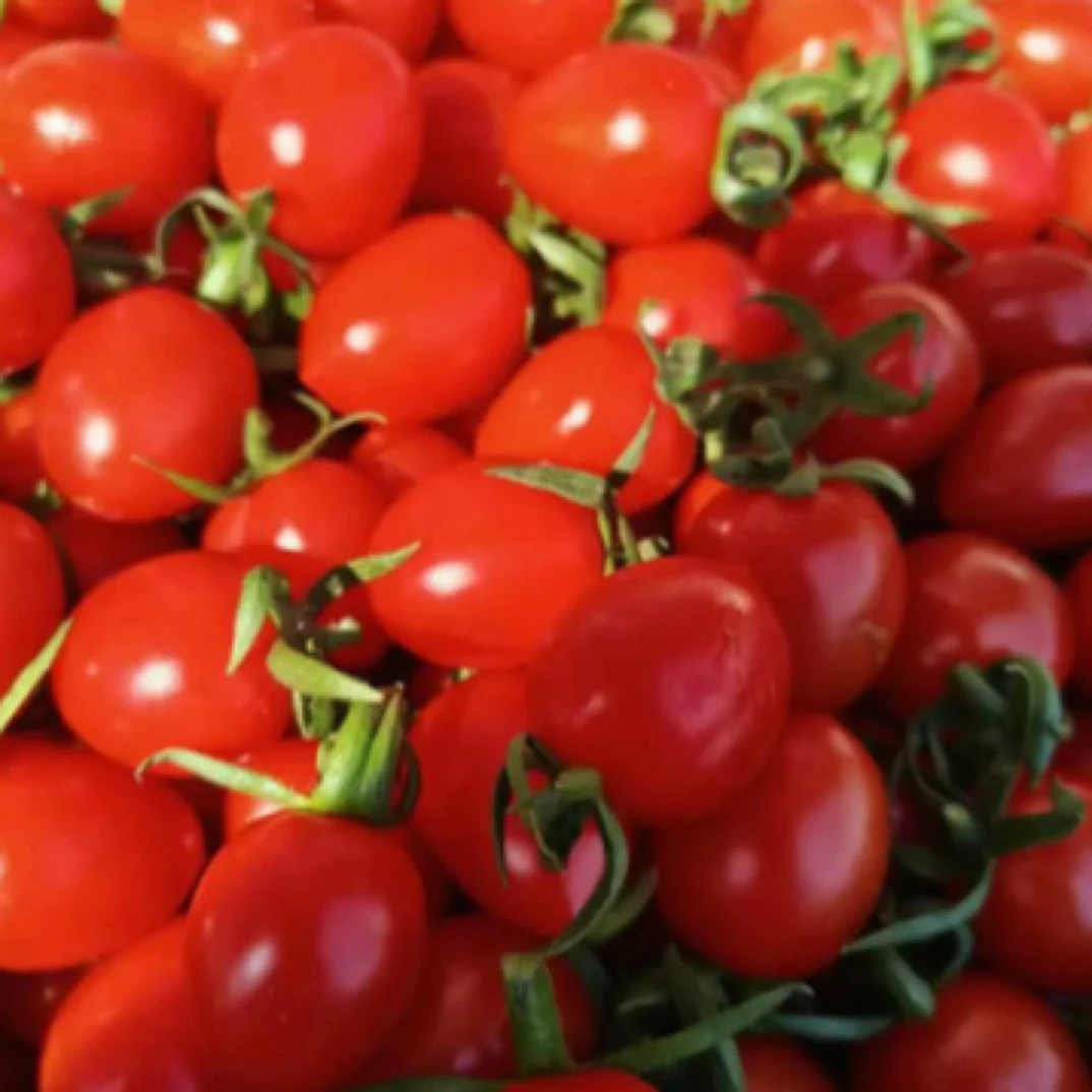 玲珑小番茄 1斤