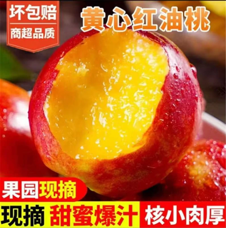 山东麻脸黄心油桃山区油桃现摘现发