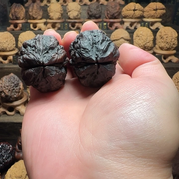 木质类老树九五蟾王十八包39尺精配