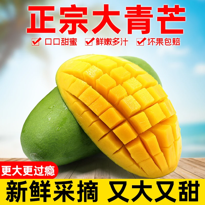 【广西金煌芒】果核薄肉厚香甜原产地直发树上熟芒果大果整箱包邮