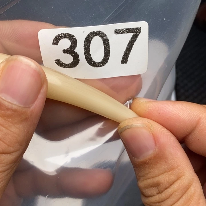 科檀（科特迪瓦檀木）