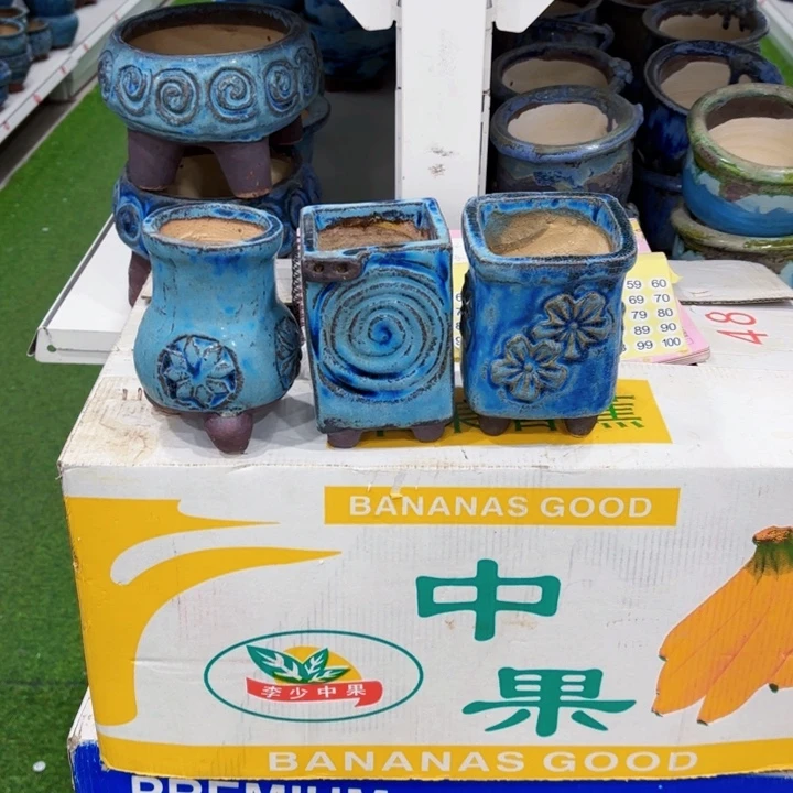 红陶苏*?内敛不起波澜不定