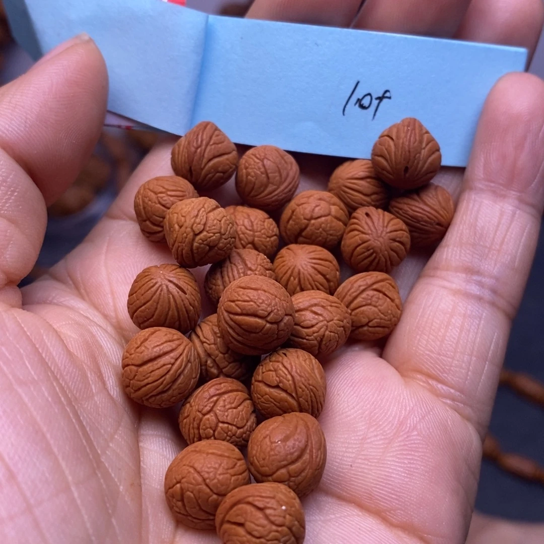 秦岭龙纹桃核21颗