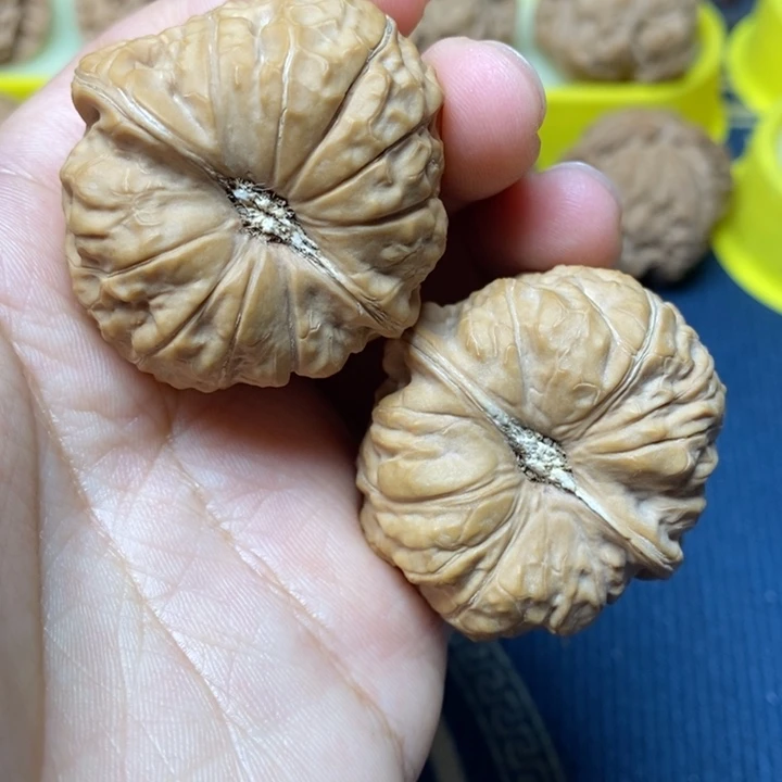 文玩核桃南瓜墩41