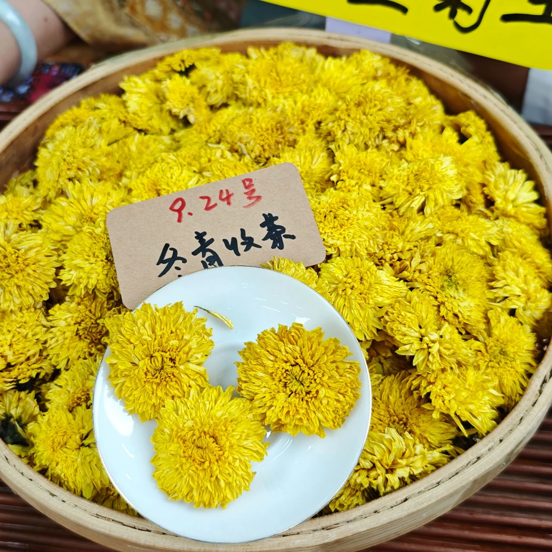 2025明月山金蕊皇菊 今年头采新花 富硒花 泉水甜冬青收茶