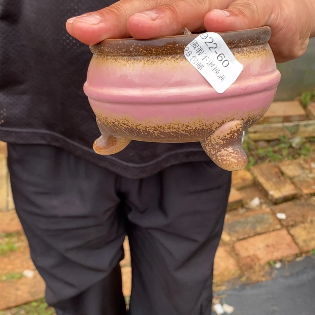 沛***沛60号多肉盆口径10