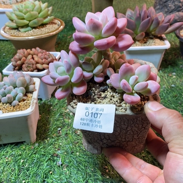0107啊啊啊啊啊啊啊啊啊