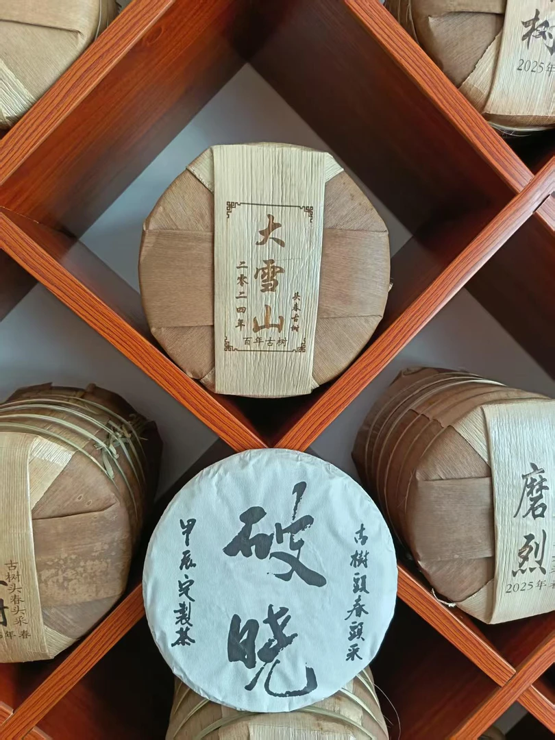勐库大雪山2024勐库大雪山古树挑采【破晓】艺术款357/片