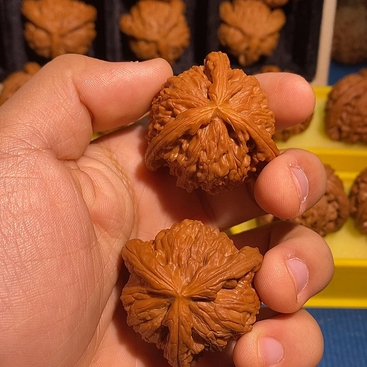 小***范文玩核桃手串白狮子三棱