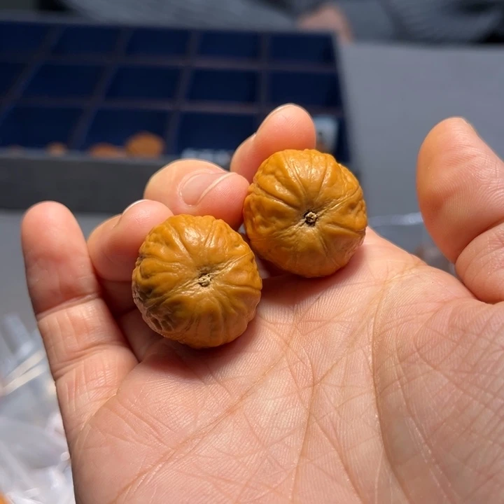 文玩核桃把件奶豆546