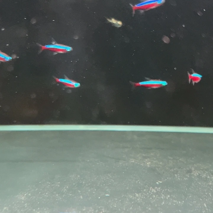 海水卡***猫巴宝10ti qo
