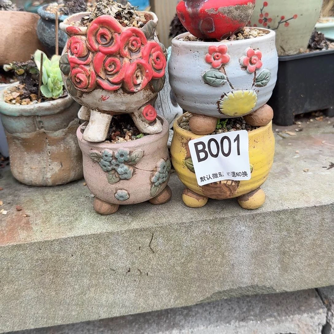 重庆小燕子欢迎大家001