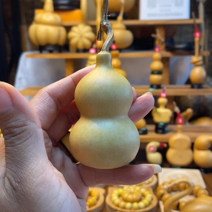 小***子天然葫芦自然生长