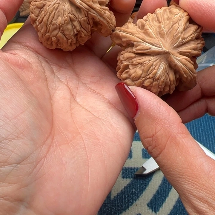 桃核吊坠文玩华坤龙49