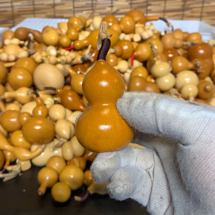 金蟾之谜在哪里看过呀啊哈哈我要