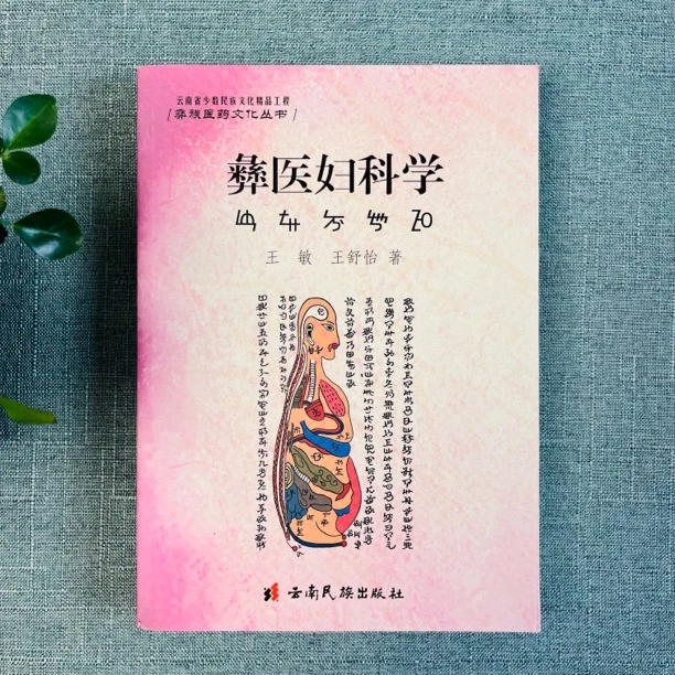 《彝医妇科学》2022年一版一印
