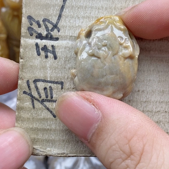 颈饰未镶嵌硅化珊瑚（珊瑚玉）①**果