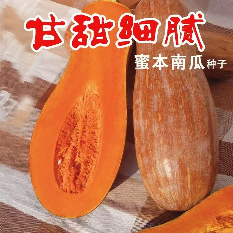 密本南瓜种子食用香甜早熟苗蔬菜籽甜面南瓜种籽春播夏秋四季播种