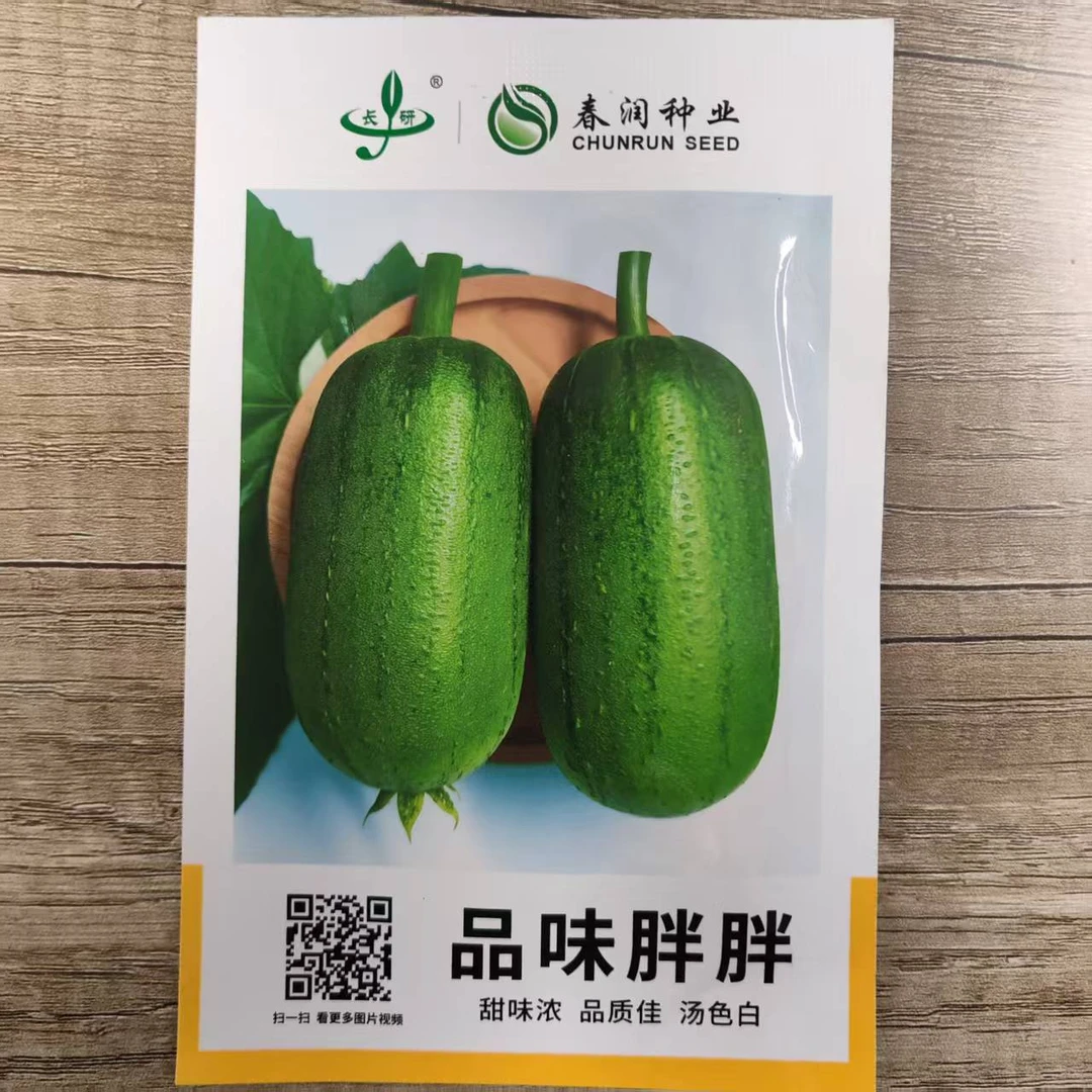 品味胖胖香丝瓜种子丝瓜种子短棒形甜味浓汤色白水瓜种子