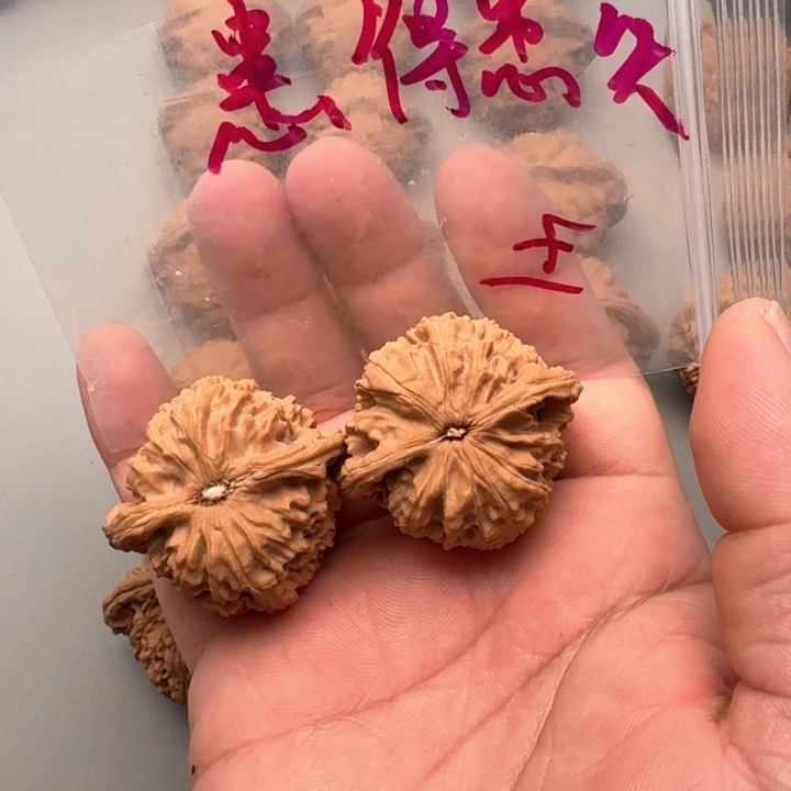 文玩核桃把件患****づ山地白狮子