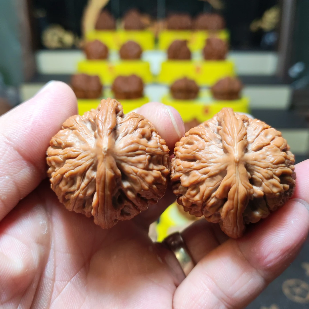 38尺全品球体莲花/专项白茬/大放漏粉丝抓住机会