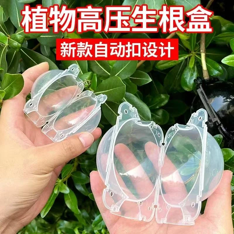 嫁接专用高压盒园艺扦插压条植物盒繁殖高压生根果树pp材质花盆