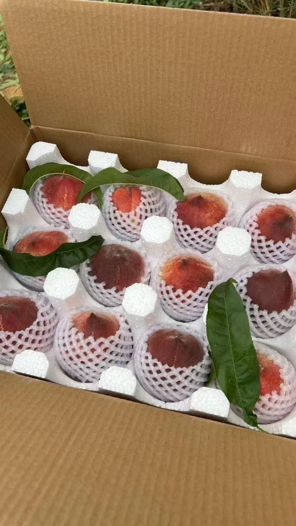 顺丰包邮攀枝花高山黑美人桃子产地直发当季新鲜水果当季解渴水果