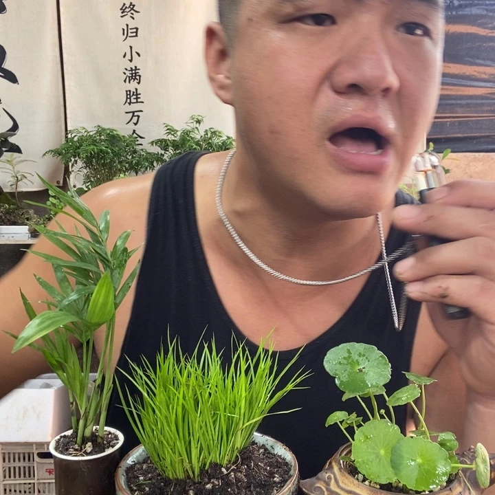 无花朵退款拉黑拉黑21