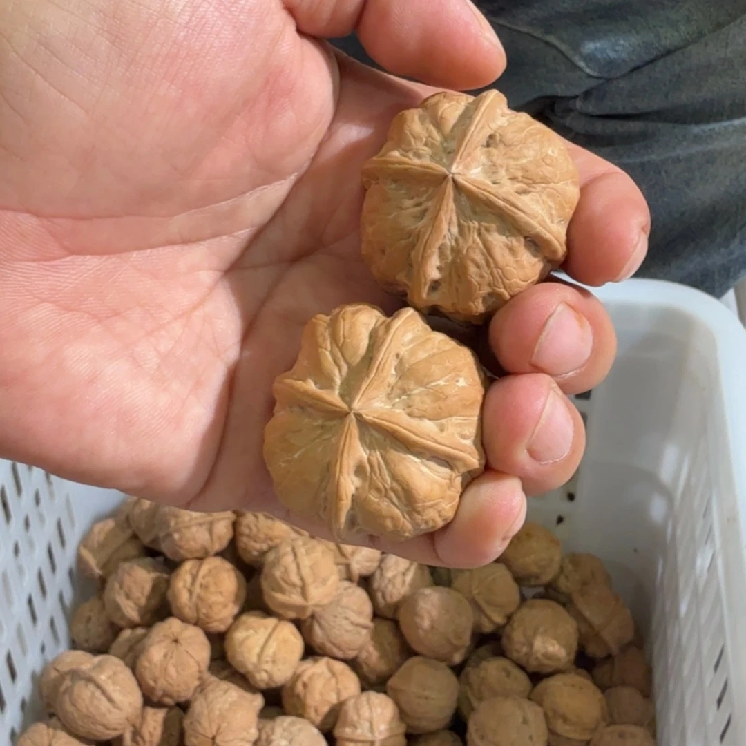 文玩核桃把件铁8萌萌包四棱
