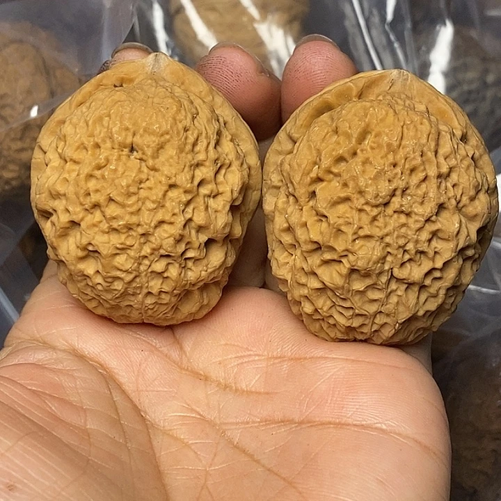 文玩核桃把件云南铁核桃95