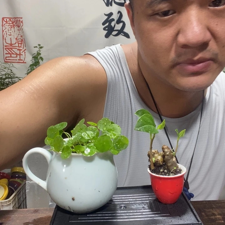 斑*?退款拉黑一物一拍167