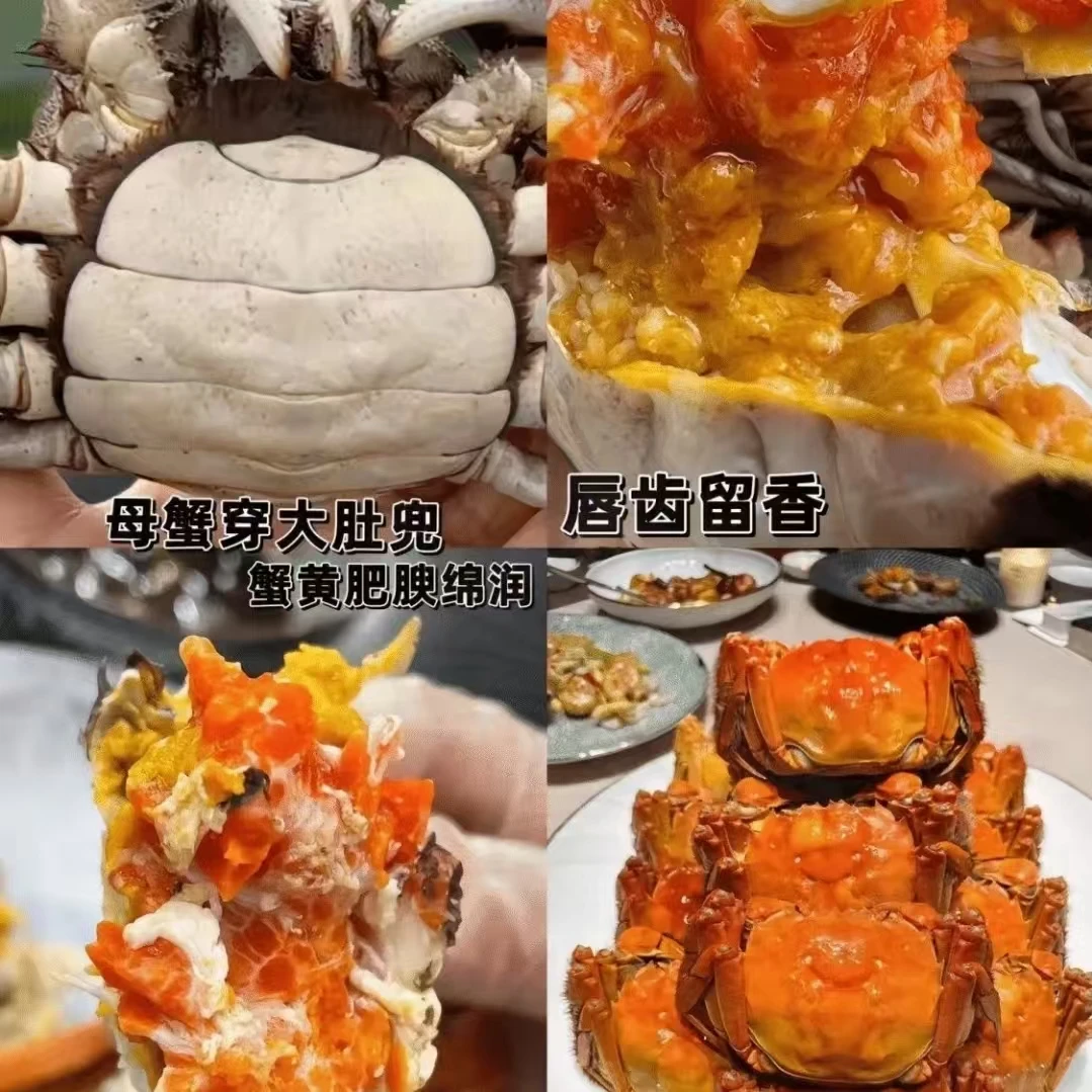【兴化红膏大闸蟹】活蟹大闸蟹精品公3.0往上母2.5两往上3斤/组