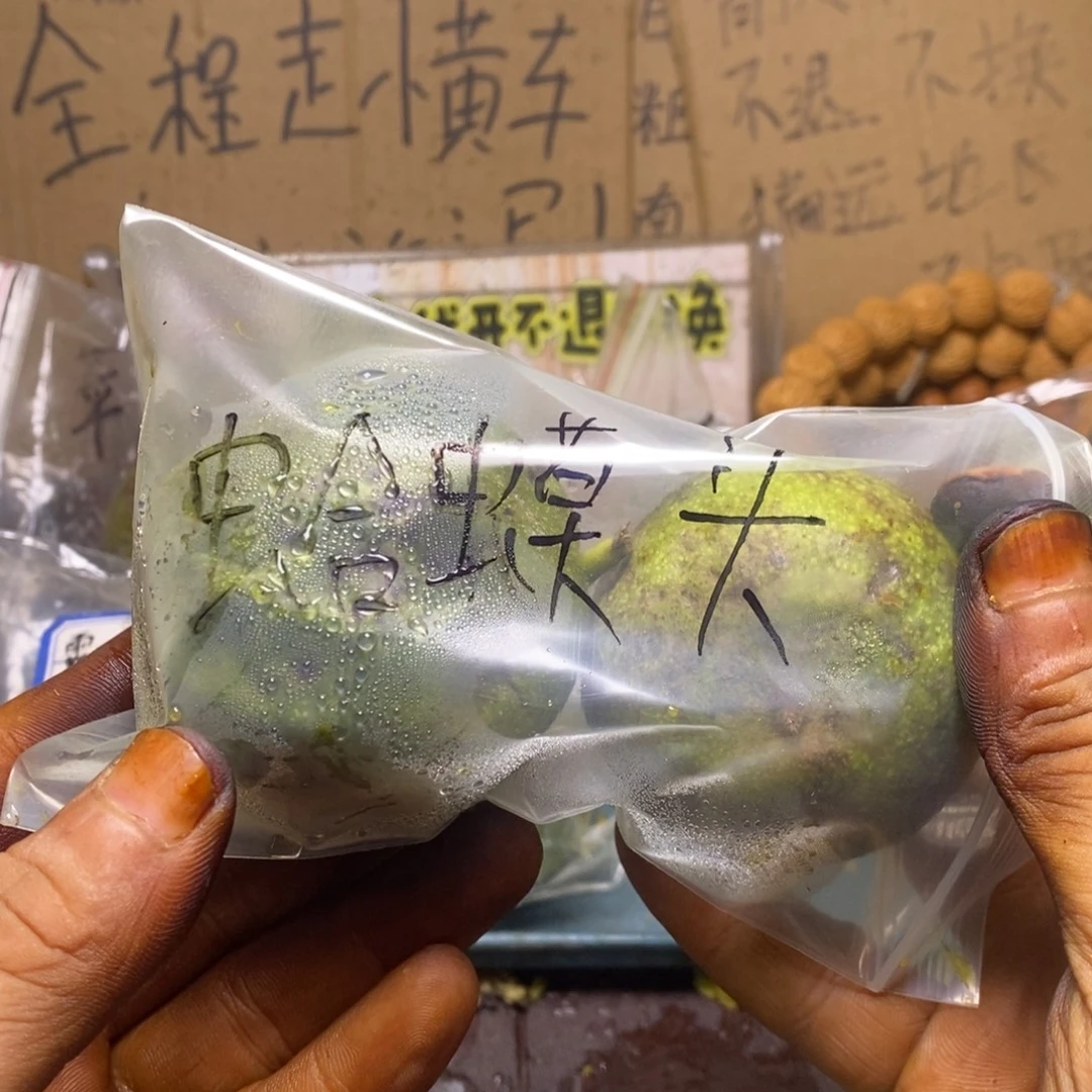 Zjc青皮代开不退不换蛤蟆头05
