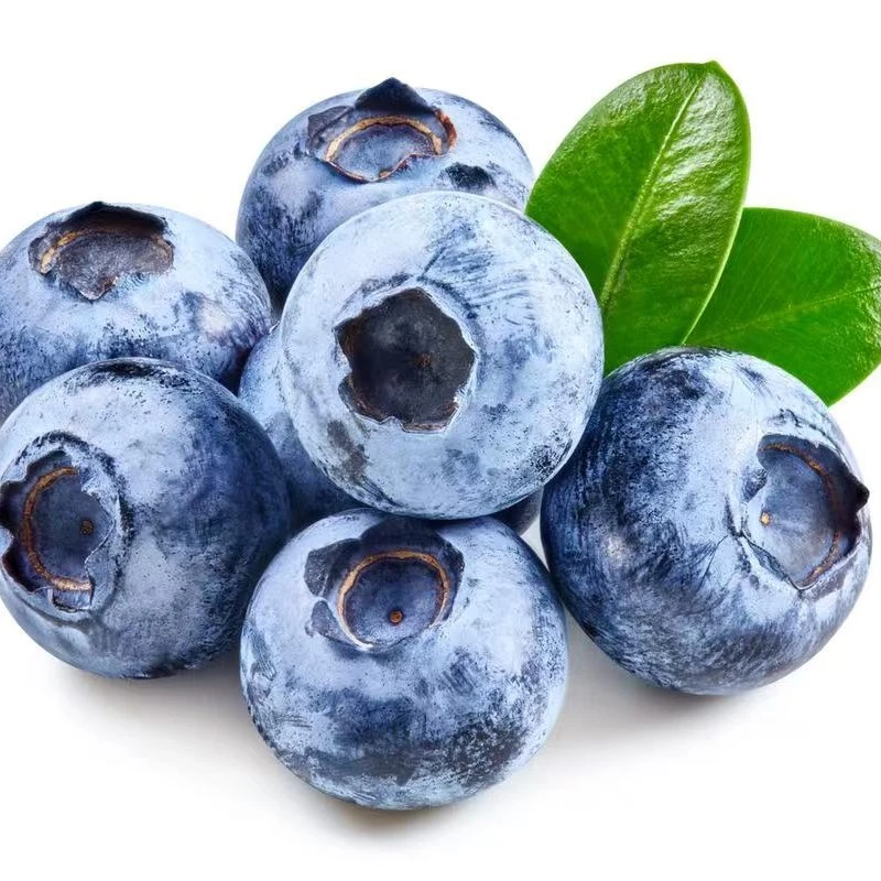 云南蓝莓(15mm+，一板12盒)，125g/盒云南省