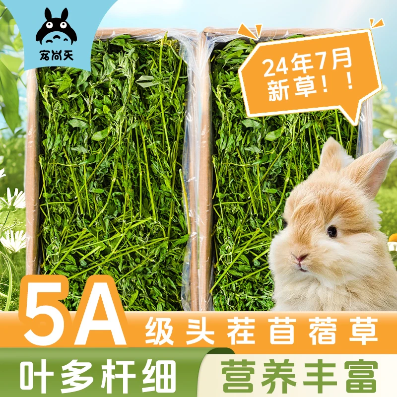 宠尚天24年兔子草料烘干苜宿草干草荷兰猪粮食饲料幼兔干牧草紫花