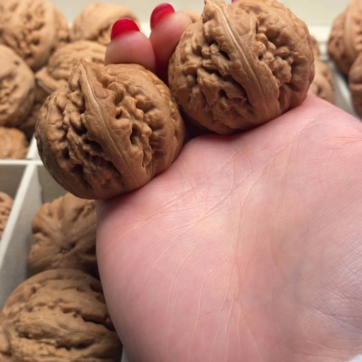 玖***道把件文玩核桃霸王龙