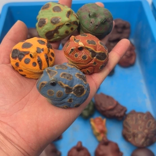 哦哦哦哦哦哦哦噢噢噢噢